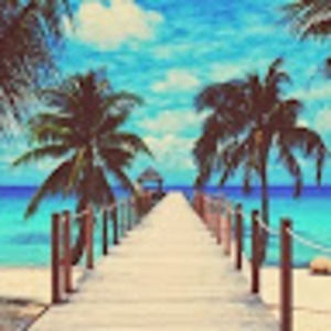 Meet your Posher, Chloe